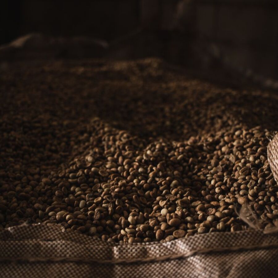 Coffee beans packed and ready for export