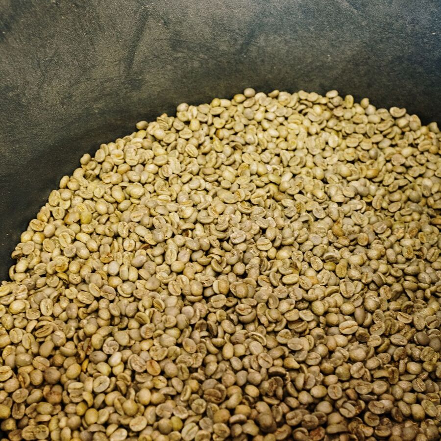 Raw green coffee beans, single-origin Coorg